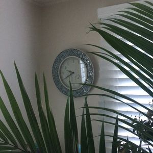 Meet your Posher, Corinna